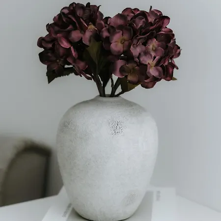 Apartamento Denali Sulov