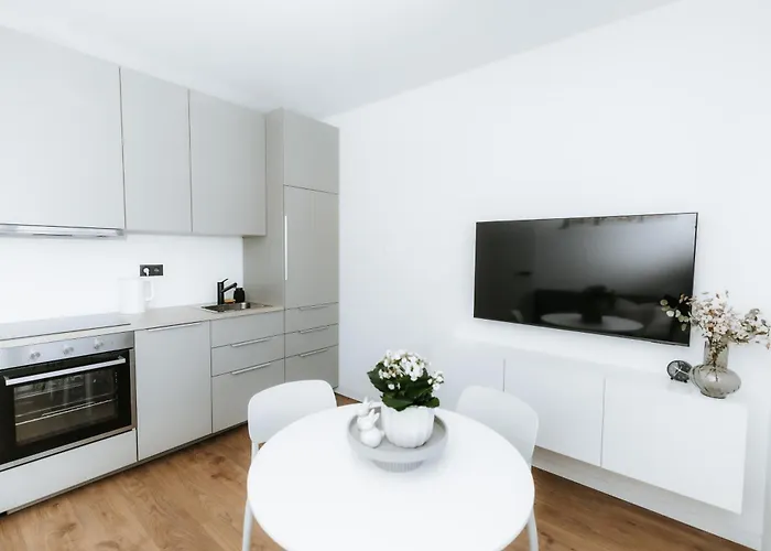公寓 Denali Sulov